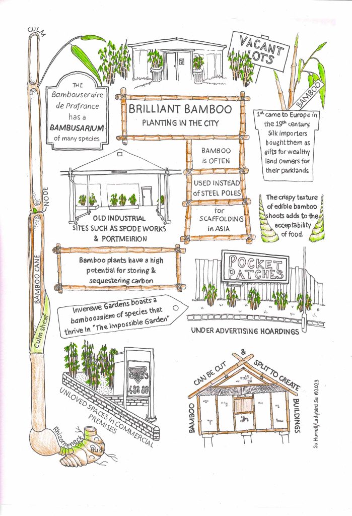 A poster-sized illustration which has brown and green bamboo culms and plants with buildings.