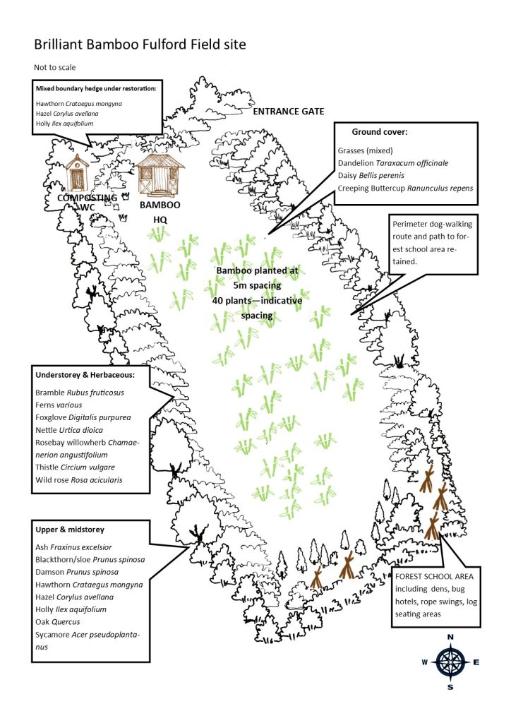 A site plan and ecological map of a field in Fulford. 